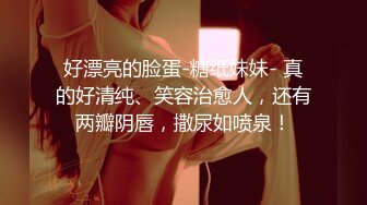 24小时后入肥臀抽插不止~MayaLis（P站）视频合集【89V】 (30)