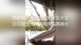 [MP4]漂亮小姐姐乳房又大又白又挺沙发啪啪视角完美展示