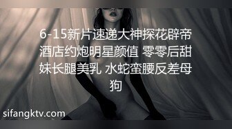 夫夫情侣的假期快乐