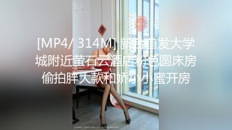 大屁股女友穿渔网袜，后入骚话不断，淫水直流