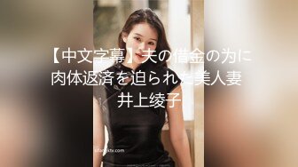 【中文字幕】夫の借金の为に肉体返済を迫られた美人妻 井上绫子