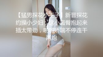 [MP4]麻豆传媒MD-0213 巨乳母狗肉体偿债 耻辱开启了淫荡开关-张芸熙