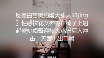 后入西安 大屁股骚女友