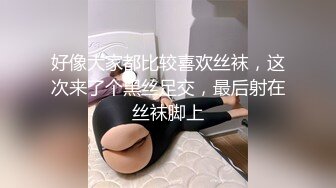 大庆忆杨 口哨战车 耶比耶 巴拉豆