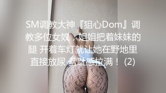 极品欲女【南方联合国际体模】平安夜约炮铁粉停车场偷情野战，美乳大长腿一字马站炮，战况激烈超刺激.