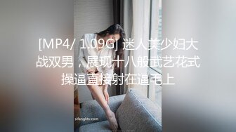 我的小马子