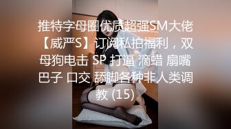 把小媳妇插疼了