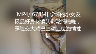 麻豆传媒最新MSD038 空姐的飞淫之旅奢糜篇纸醉金迷千里送逼