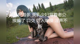 镜子前干东北熟女