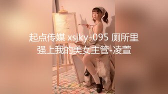 起点传媒 xsjky-095 厕所里强上我的美女主管-凌萱