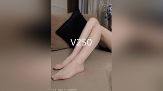 收集的一些淫妻BBC题材的合集2【292V】 (160)