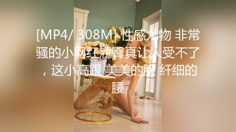 [MP4]STP32159 星空无限传媒 XKG195 母亲趁着儿媳出差勾引儿子做爱 月牙 VIP0600