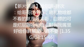 北京的长腿美女第三季下