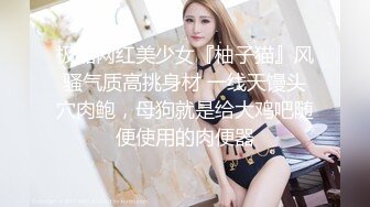 ✨华人网黄刘玥闺蜜「Fanny Ly」「李月如」OF私拍 穿情趣内衣在公共卫生间玩玩具自慰出白浆