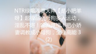 漂亮女房东的礼貌待遇