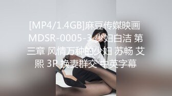 国产AV 葫芦影业 HUL021 旧上海四女子往事5