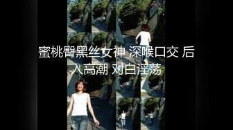 约炮人妻良家 FC2卖家 人妻愛奴 部分中文字幕合集【45V】 (23)