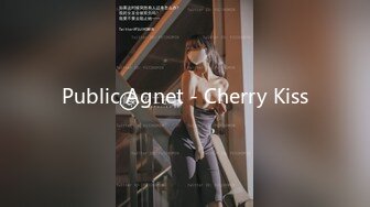 Public Agnet - Cherry Kiss