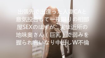 出張先で出逢った人妻CAと意気投合して一夜限りの相部屋SEXのはずが…実は近所の地味奥さん（巨乳）で弱みを握られ言いなり中出しW不倫