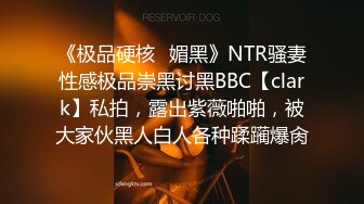 《极品硬核✿媚黑》NTR骚妻性感极品崇黑讨黑BBC【clark】私拍，露出紫薇啪啪，被大家伙黑人白人各种蹂躏爆肏