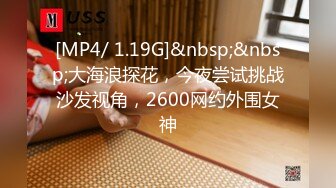 [MP4/ 1.19G]&nbsp;&nbsp;大海浪探花，今夜尝试挑战沙发视角，2600网约外围女神