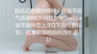 商务模特系列之蓝衣女孩