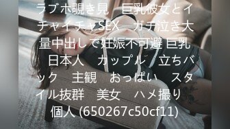 ラブホ覗き見　巨乳彼女とイチャイチャSEX　ガチ泣き大量中出しで妊娠不可避 巨乳　日本人　カップル　立ちバック　主観　おっぱい　スタイル抜群　美女　ハメ撮り　個人 (650267c50cf11)