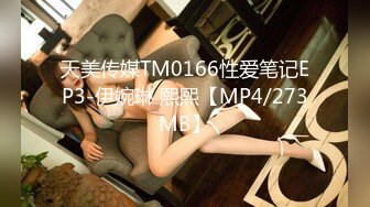 天美传媒TM0166性爱笔记EP3-伊婉琳 熙熙【MP4/273MB】