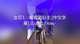 女忍1：破碎的公主,[中文字幕],Studio,Flow,-