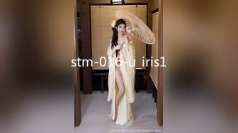 stm-016-u_iris1